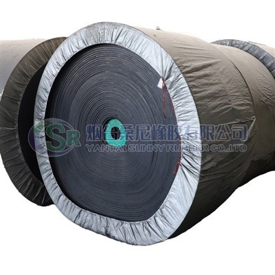 EP600 تسمه نقاله لاستیکی سفارشی شده با کیفیت بالا